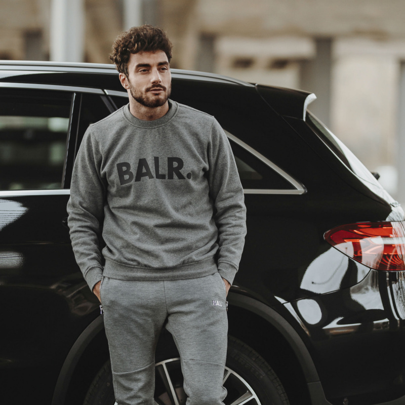 Levensstijl Brand Crew Neck Grijs Levensstijl Brand Crew Neck Grijs